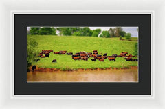 Water Gathering - Framed Print