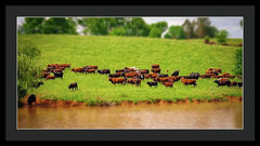 Water Gathering - Framed Print