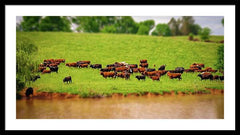 Water Gathering - Framed Print
