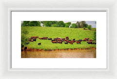 Water Gathering - Framed Print