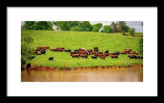 Water Gathering - Framed Print