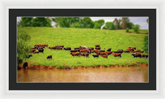 Water Gathering - Framed Print