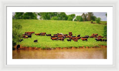 Water Gathering - Framed Print