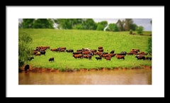 Water Gathering - Framed Print